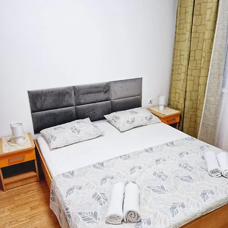 Olea * 마카르스카