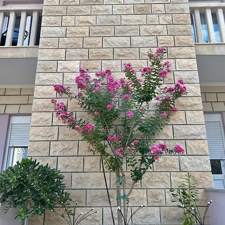 Olea Apartman