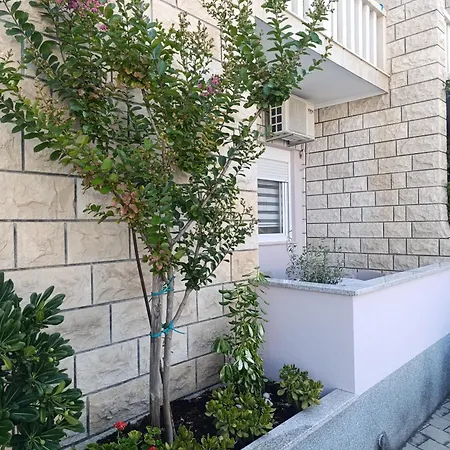Olea * Makarska
